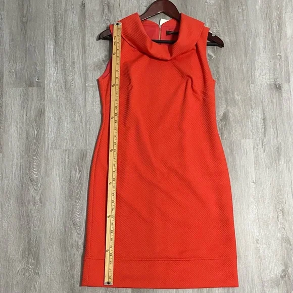 NWT Pure Amici Poppy Cowl Neck Dress Medium - Picture 11 of 11